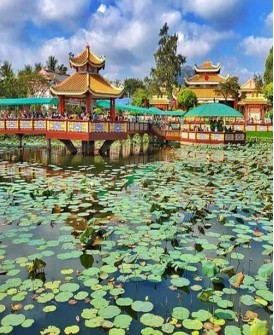 Tour Đồng Tháp - An Giang - Cần Thơ - Ca Mau Tour Đồng Tháp - An Giang - Cần Thơ - Ca Mau