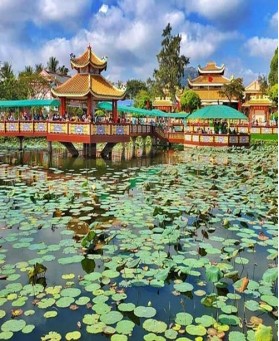 Tour Đồng Tháp - An Giang - Cần Thơ - Ca Mau