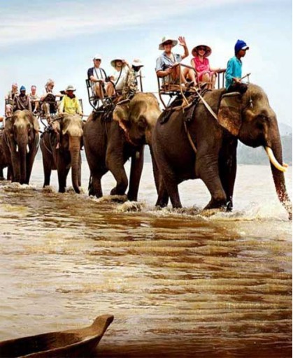 Land Tour Buôn Ma Thuột - Hồ Lắk - 1 ngày