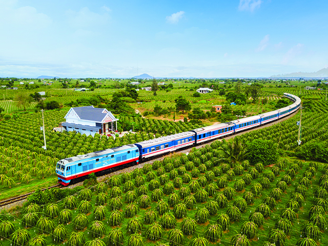 Tàu Thống nhất đi qua vườn thanh long (Ninh Thuận)